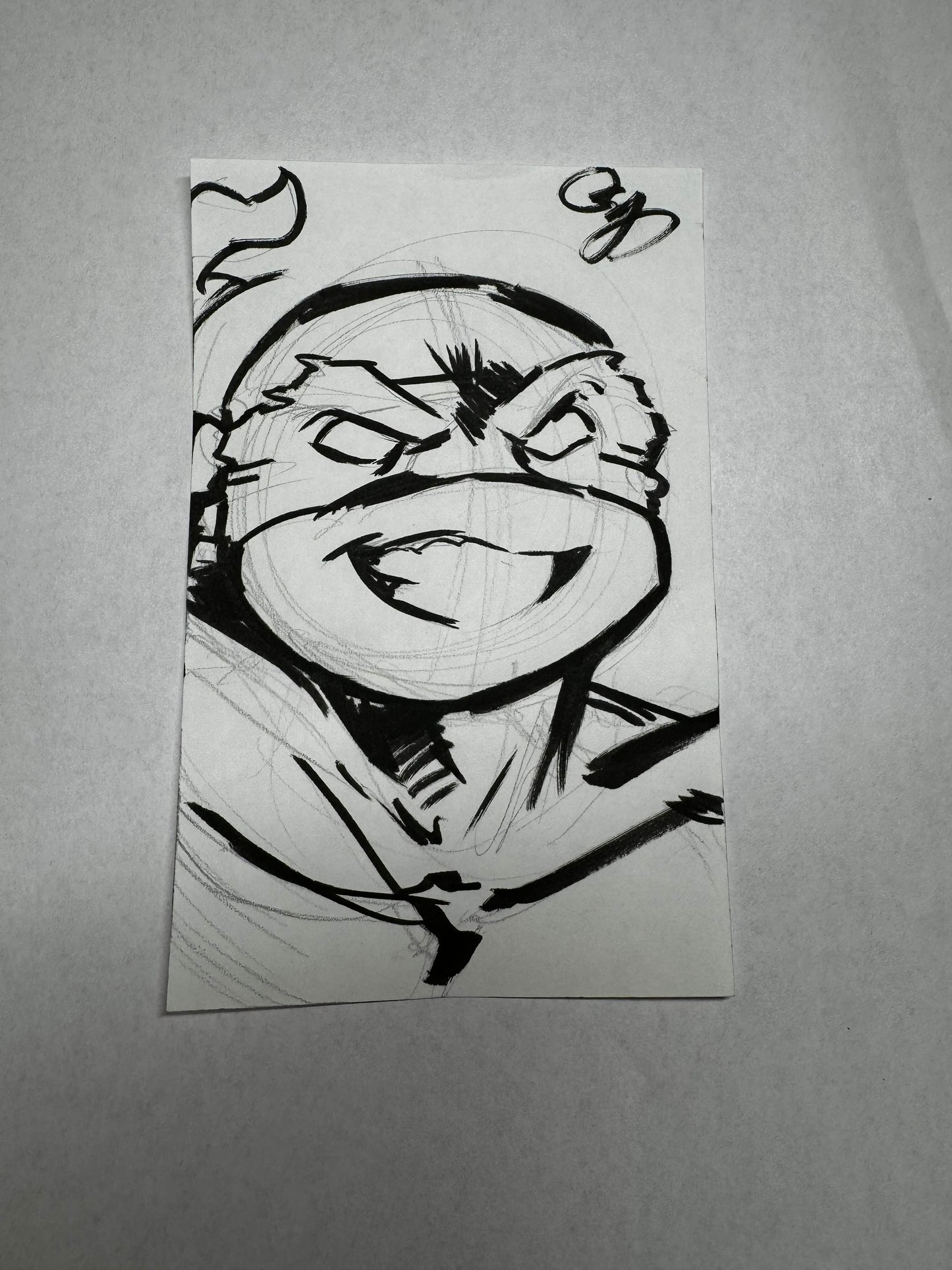 TEENAGE MUTANT NINJA TURTLES ORIGINAL (Raph)